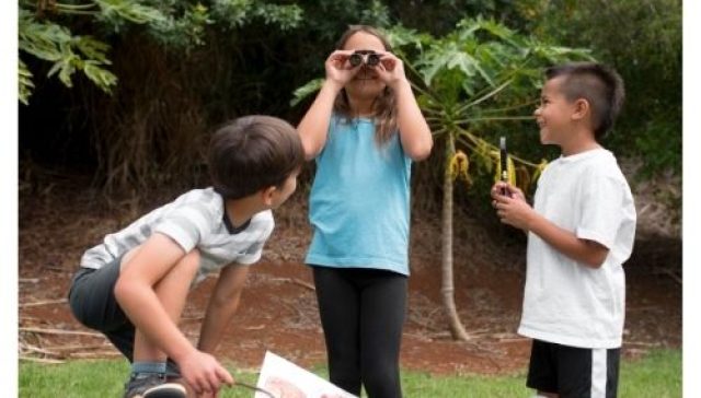 ormanda kendince öğrenmek